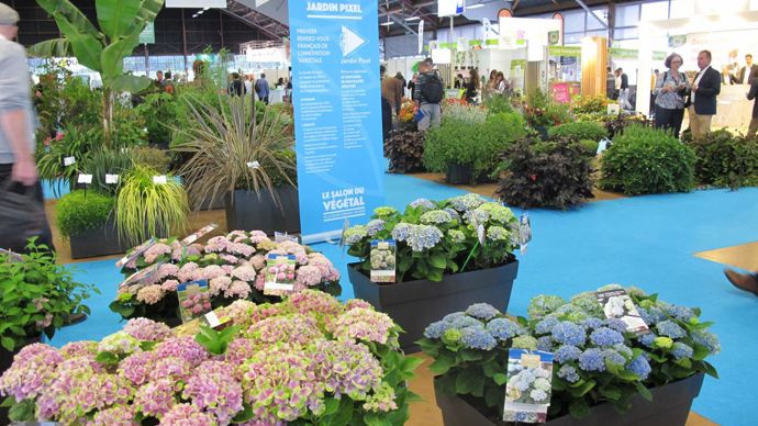 Le jardin pixel de la FNPHP a, pour la première fois, montré des cultivars, des associations, des compositions thématiques en grands contenants… ©Léna Hespel